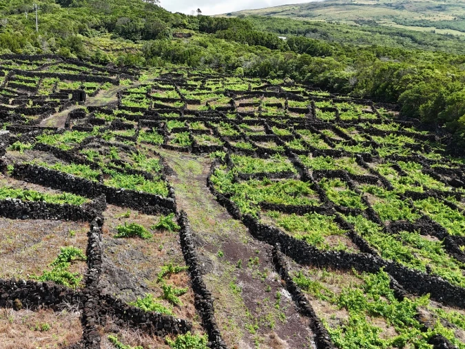 Terreno para Venda em São Mateus Foto 5