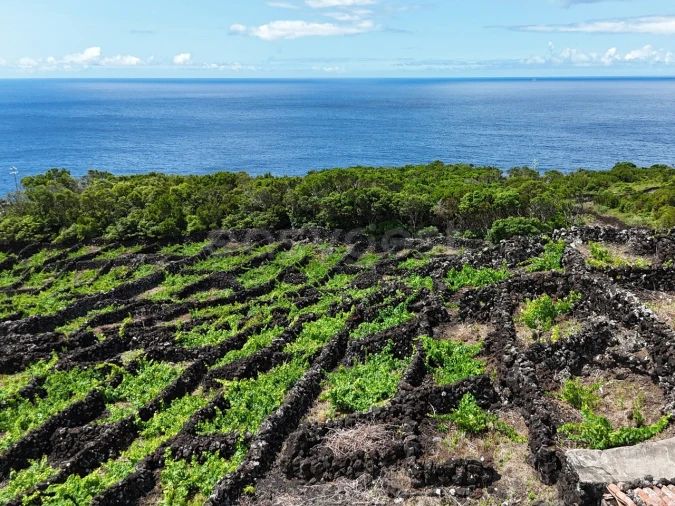 Terreno para Venda em São Mateus Foto 9