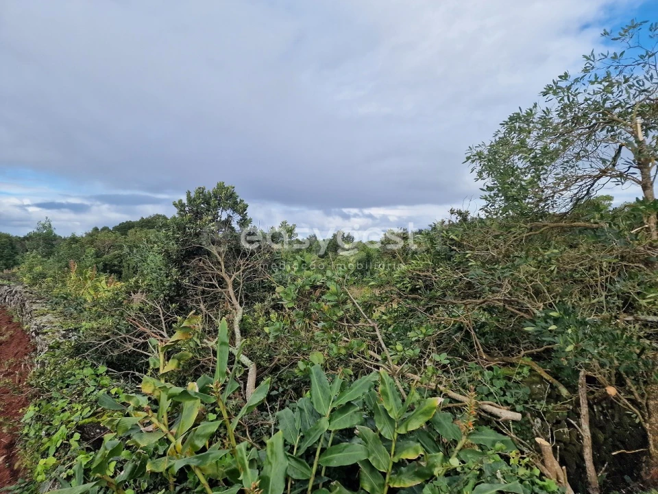 Terreno para Venda em Bandeiras Foto 4