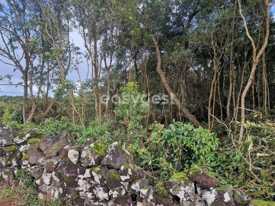 Terreno para Venda em Bandeiras Foto 10