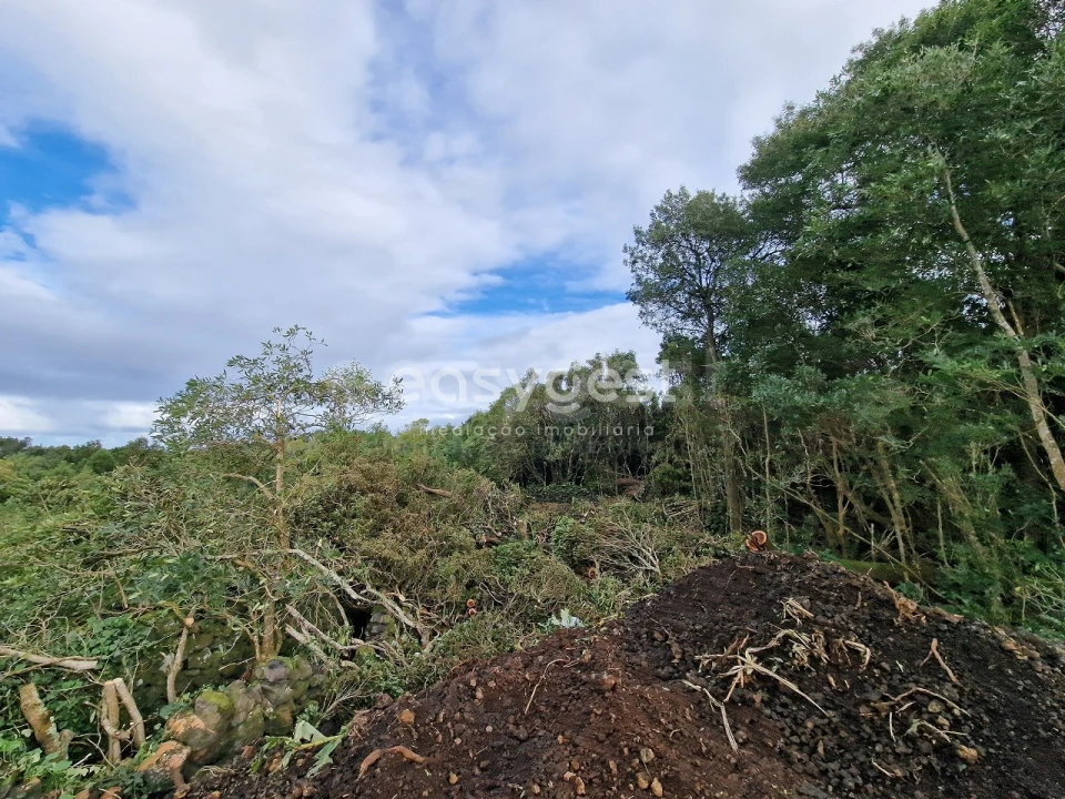 Terreno para Venda em Bandeiras Foto 15