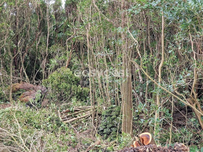 Terreno para Venda em Bandeiras Foto 9