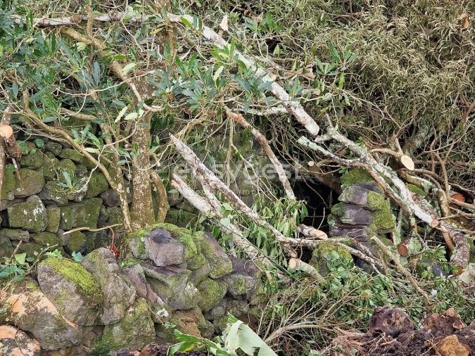 Terreno para Venda em Bandeiras Foto 12