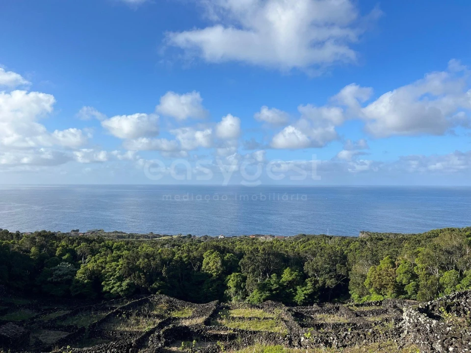 Terreno para Venda em São Mateus Foto 1