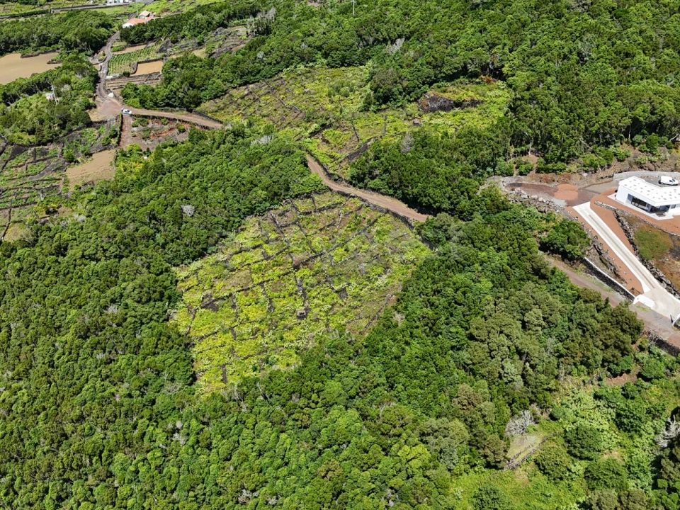 Terreno para Venda em São Mateus Foto 7