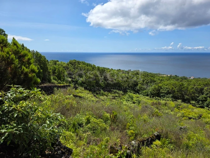 Terreno para Venda em São Mateus Foto 2