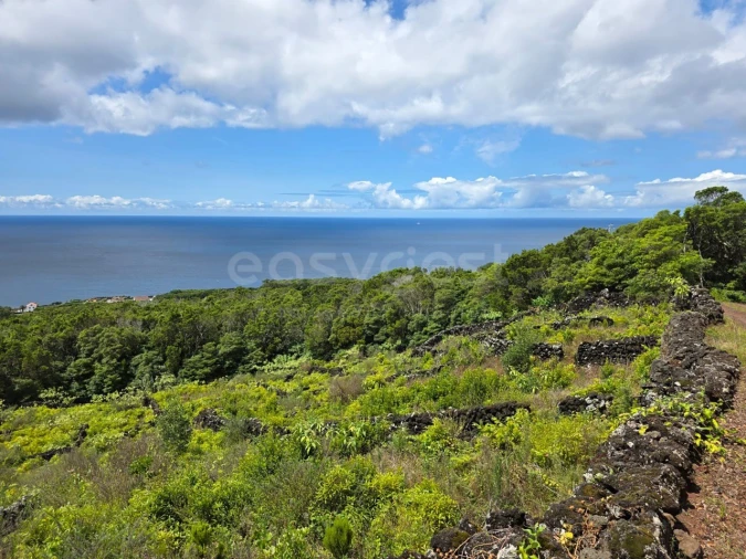 Terreno para Venda em São Mateus Foto 3