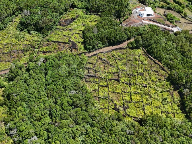 Terreno para Venda em São Mateus Foto 8