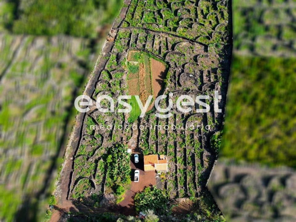 Terreno para Venda em Bandeiras Foto 5