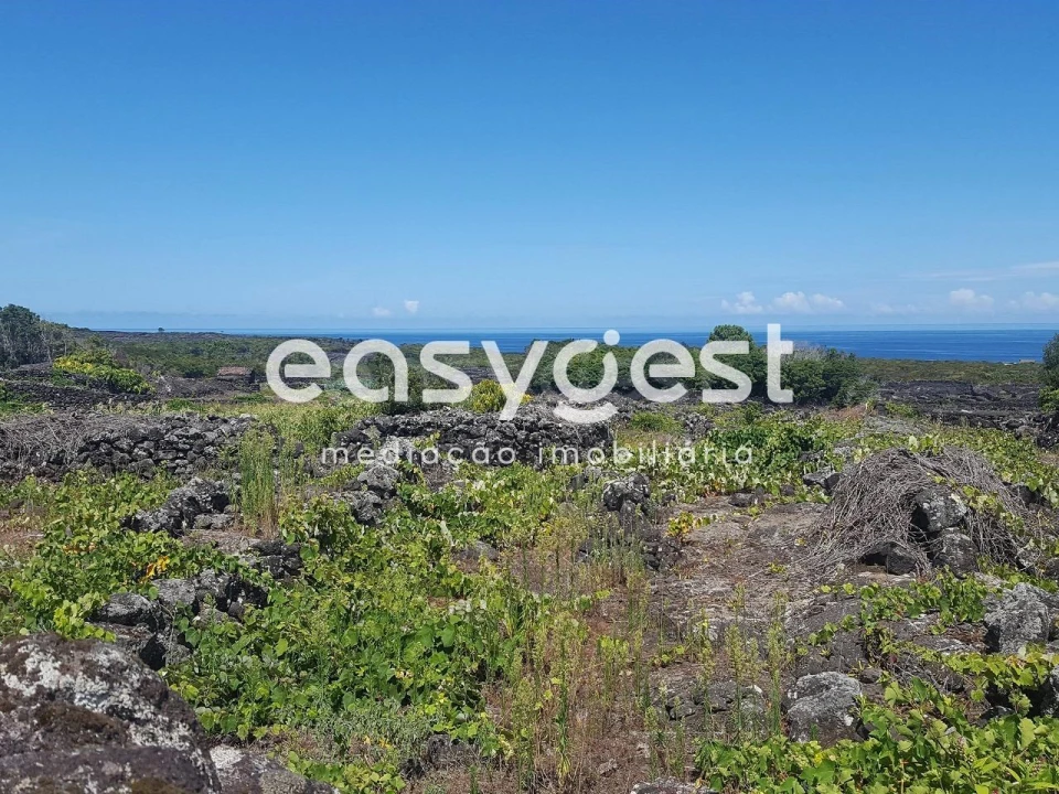 Terreno para Venda em Bandeiras Foto 15