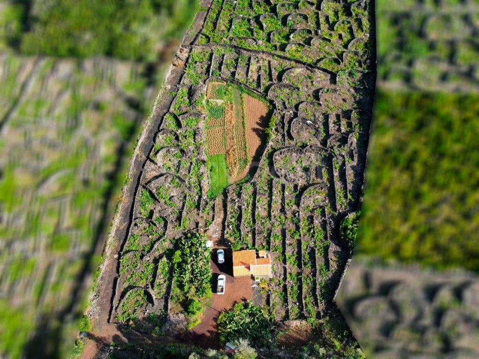 Terreno para Venda em Bandeiras Foto 6