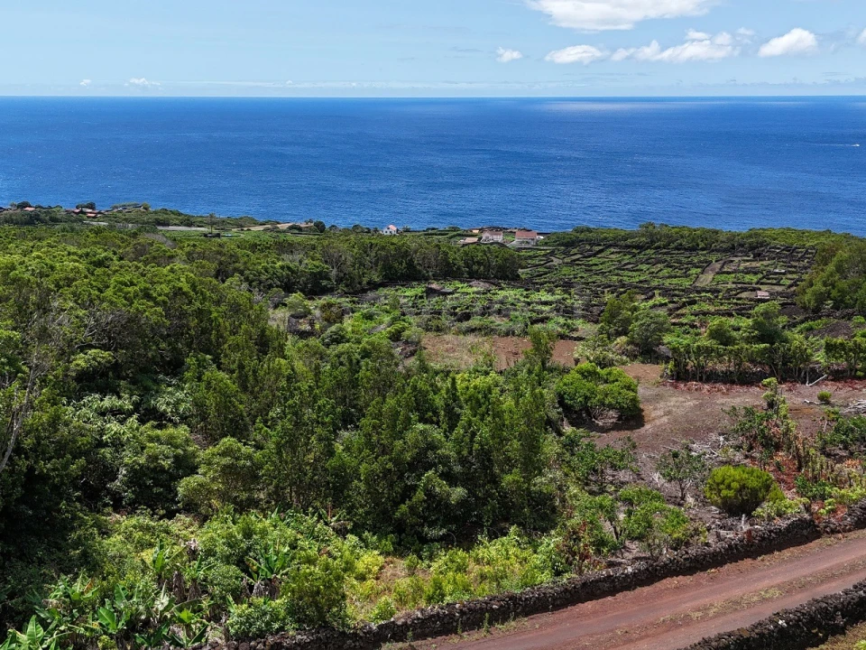 Terreno para Venda em São Mateus Foto 6