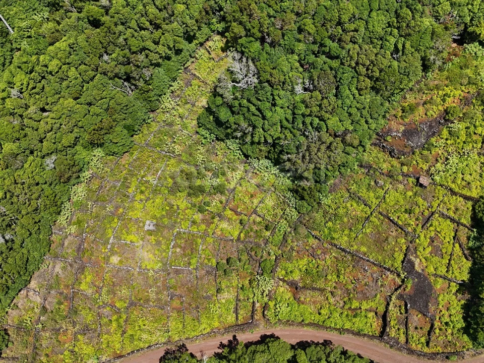 Terreno para Venda em São Mateus Foto 7