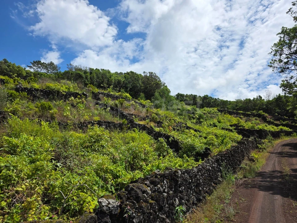 Terreno para Venda em São Mateus Foto 10