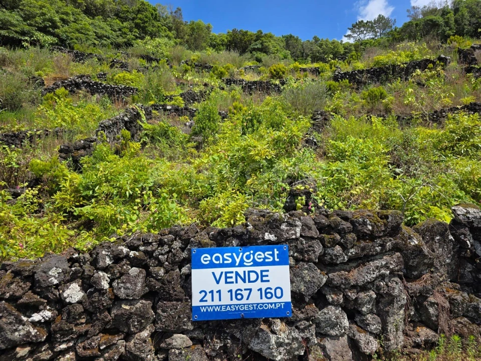 Terreno para Venda em São Mateus Foto 11