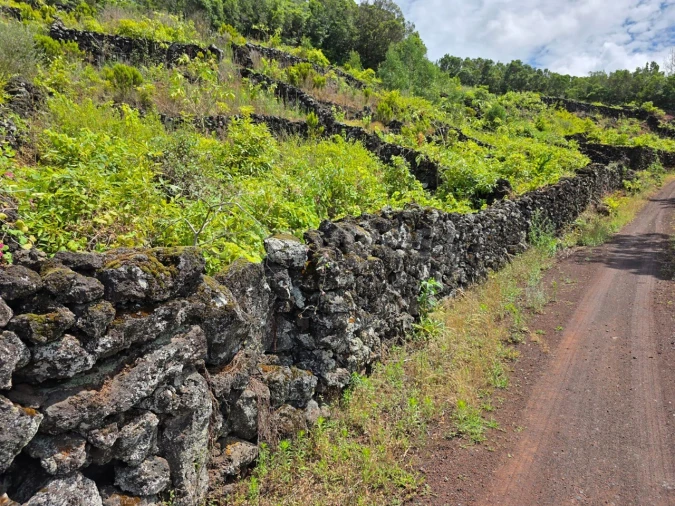 Terreno para Venda em São Mateus Foto 8
