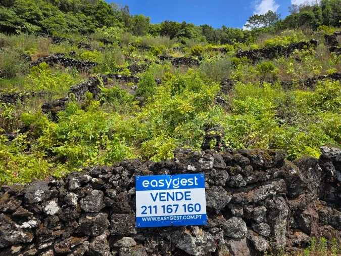 Terreno para Venda em São Mateus Foto 11