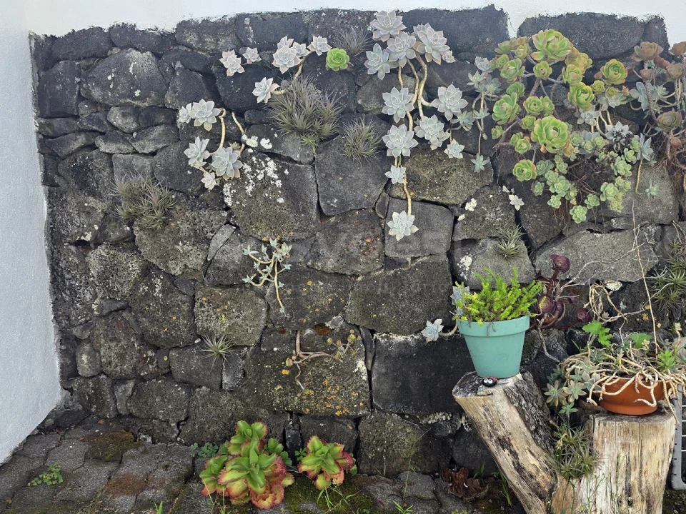 Moradia T1 para Venda em Madalena Foto 14