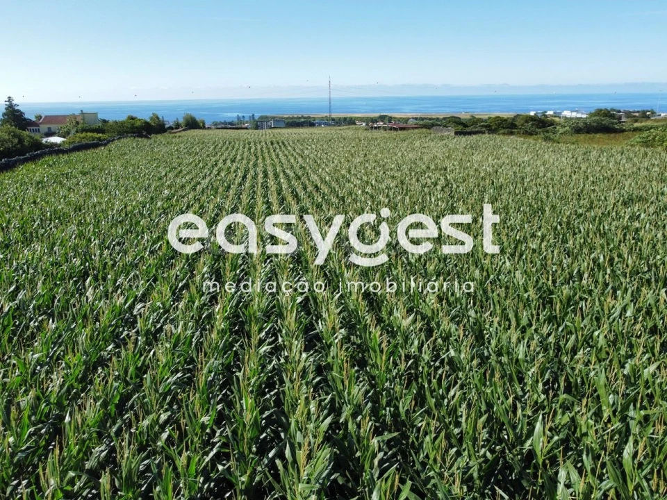 Moradia T2 para Venda em Arrifes Foto 8