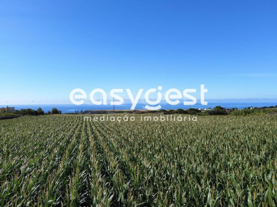 Moradia T2 para Venda em Arrifes Foto 10