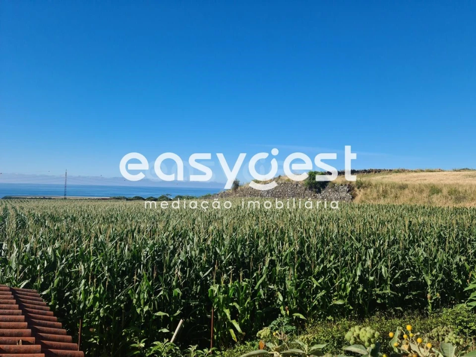 Moradia T2 para Venda em Arrifes Foto 12