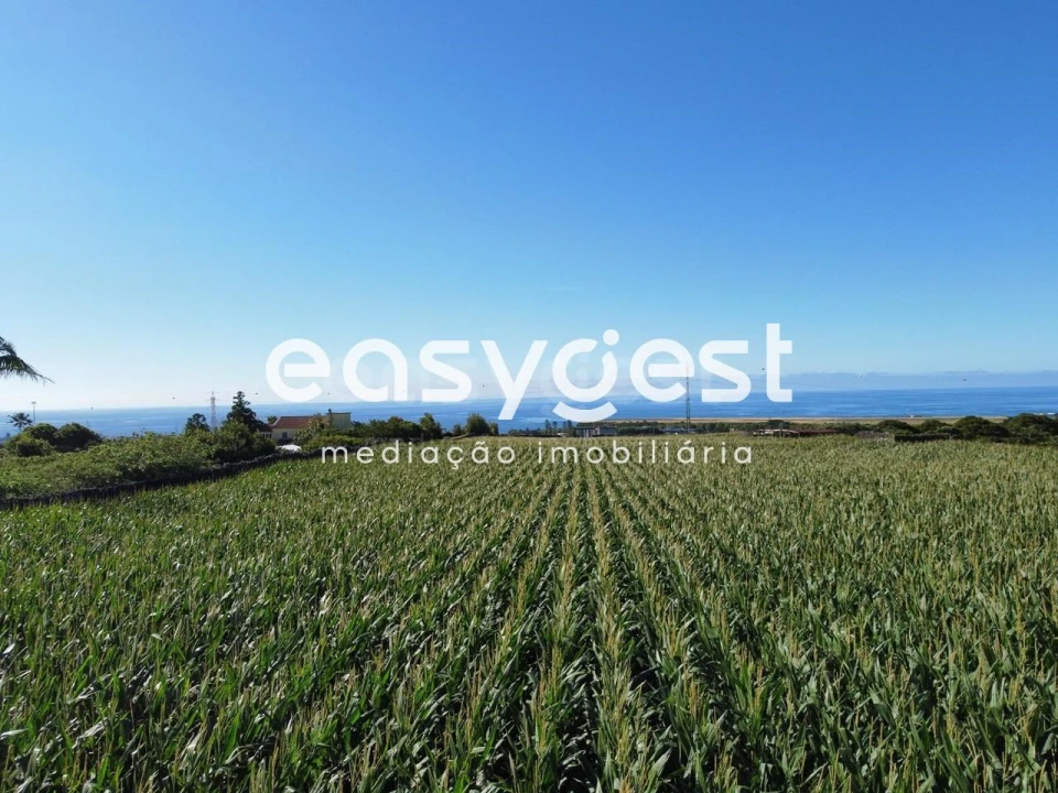 Moradia T2 para Venda em Arrifes Foto 14