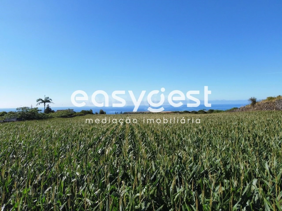 Moradia T2 para Venda em Arrifes Foto 18