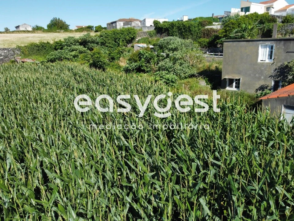 Moradia T2 para Venda em Arrifes Foto 20