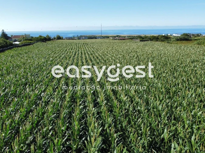 Moradia T2 para Venda em Arrifes Foto 8