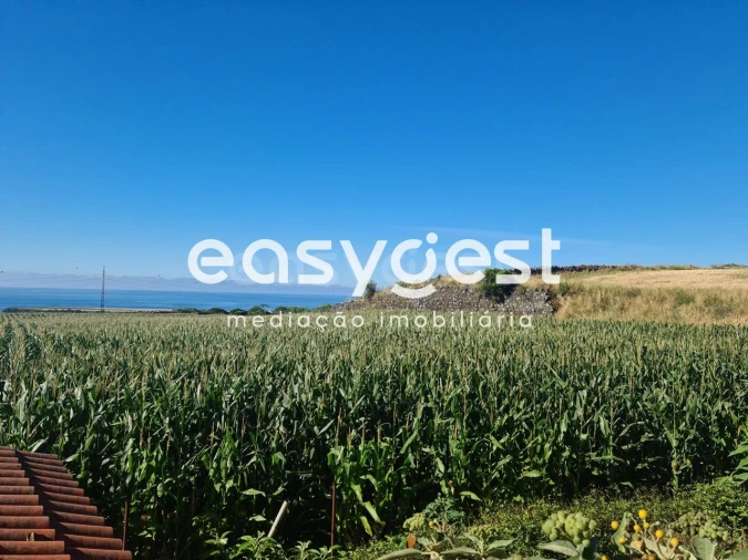 Moradia T2 para Venda em Arrifes Foto 12