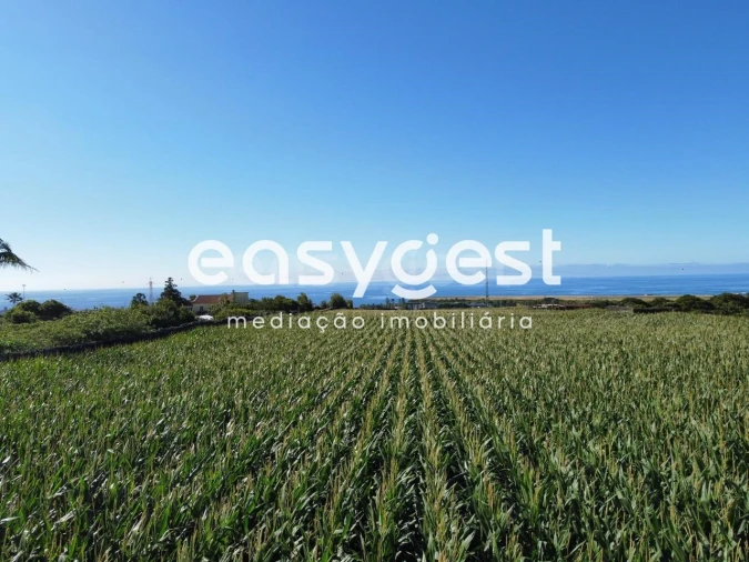 Moradia T2 para Venda em Arrifes Foto 14