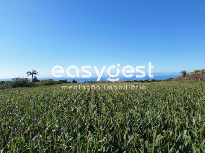 Moradia T2 para Venda em Arrifes Foto 18