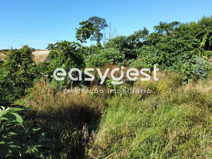 Moradia T2 para Venda em Arrifes Foto 19