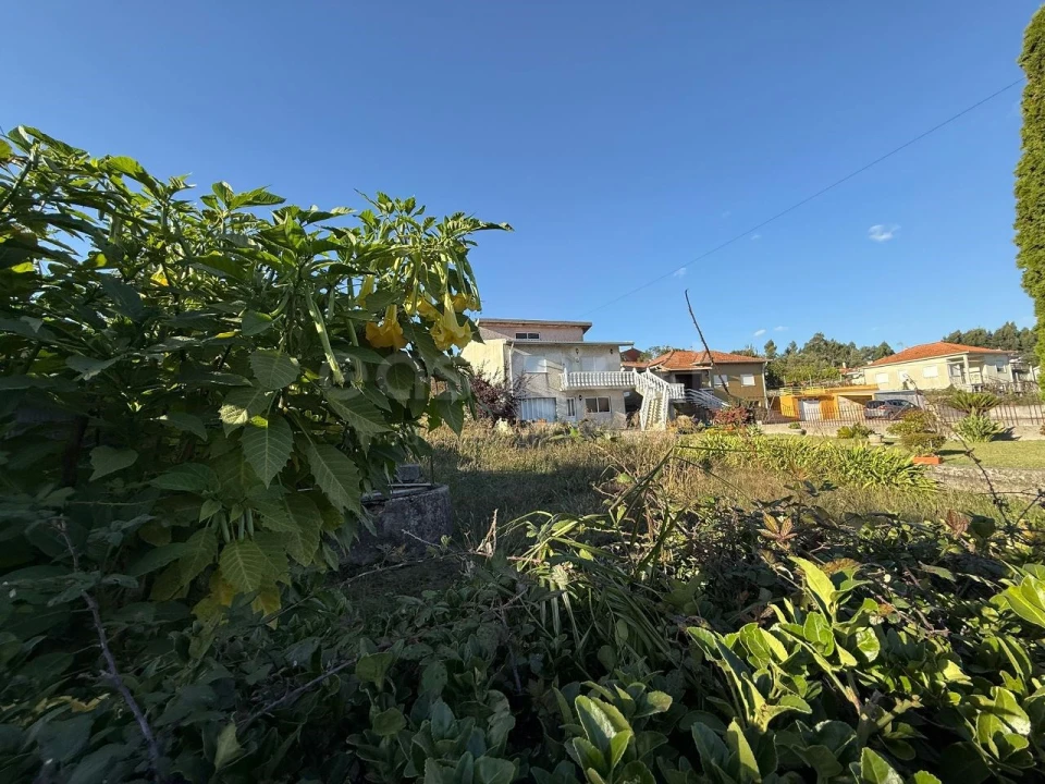 Terreno para Venda em Argoncilhe Foto 11