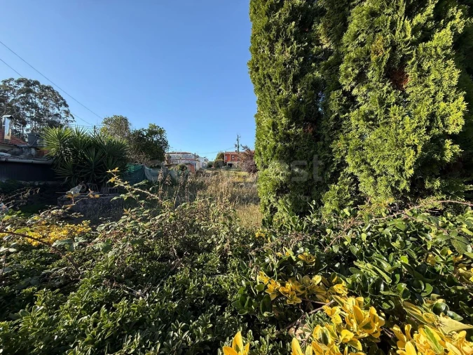 Terreno para Venda em Argoncilhe Foto 6