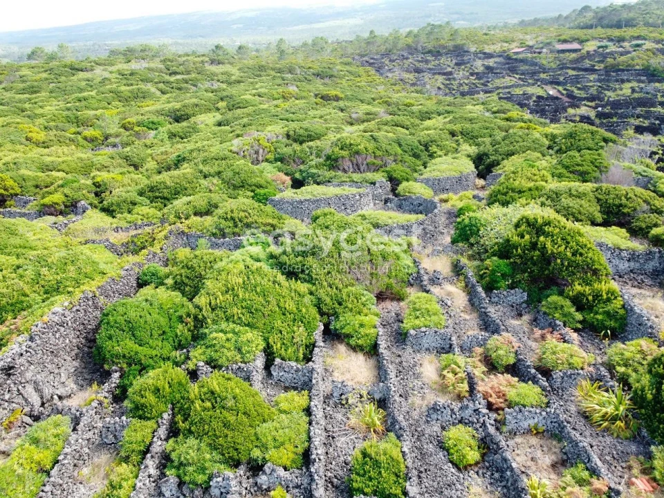 Terreno para Venda em Santa Luzia Foto 2