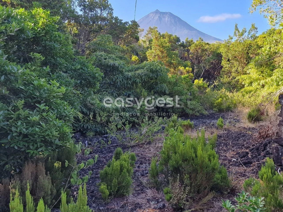 Terreno para Venda em Santa Luzia Foto 4
