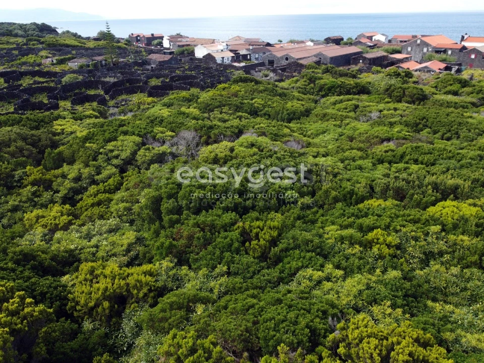 Terreno para Venda em Santa Luzia Foto 6