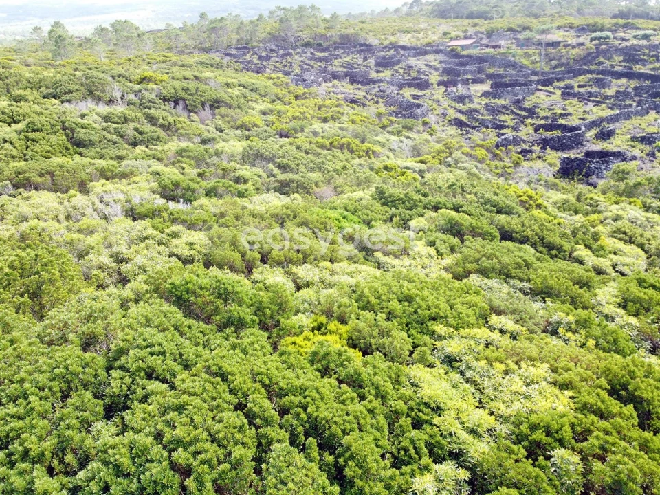 Terreno para Venda em Santa Luzia Foto 7