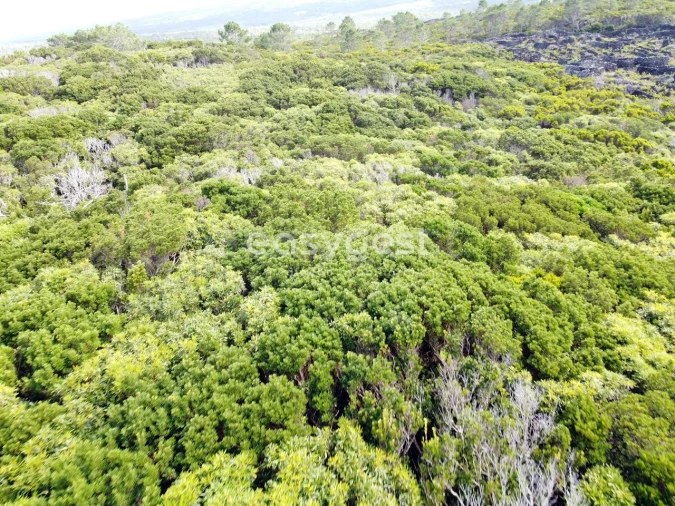 Terreno para Venda em Santa Luzia Foto 8