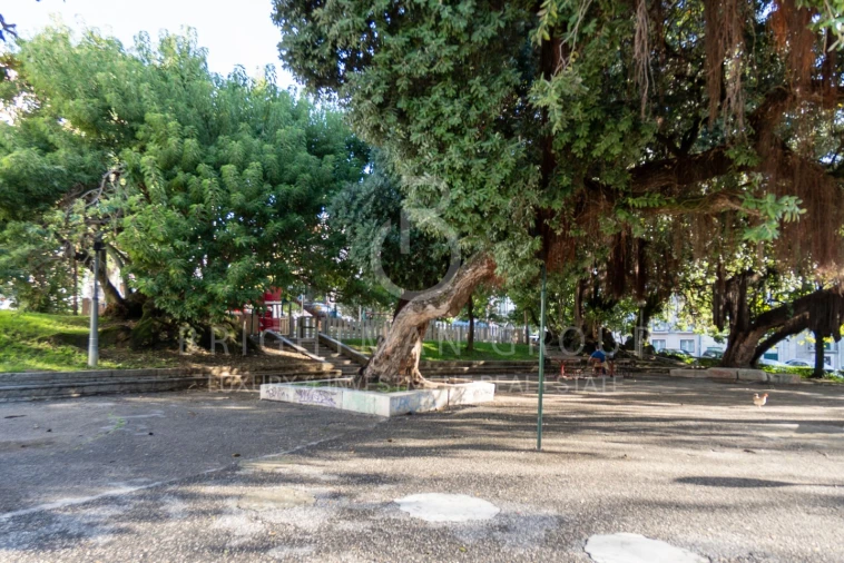 Apartamento T6 para Venda em Arroios Foto 25