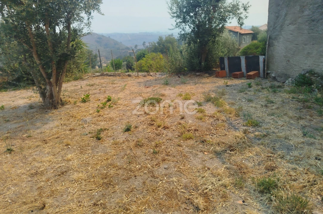 Moradia T7 para Venda em Abrunhosa-A-Velha Foto 15