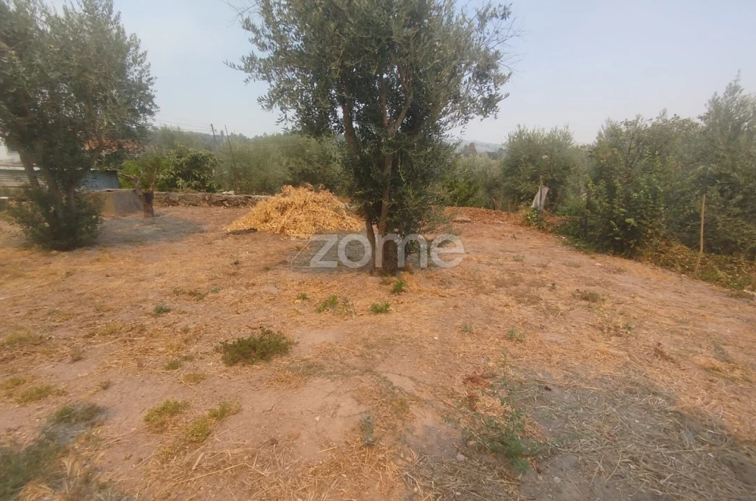 Moradia T7 para Venda em Abrunhosa-A-Velha Foto 16