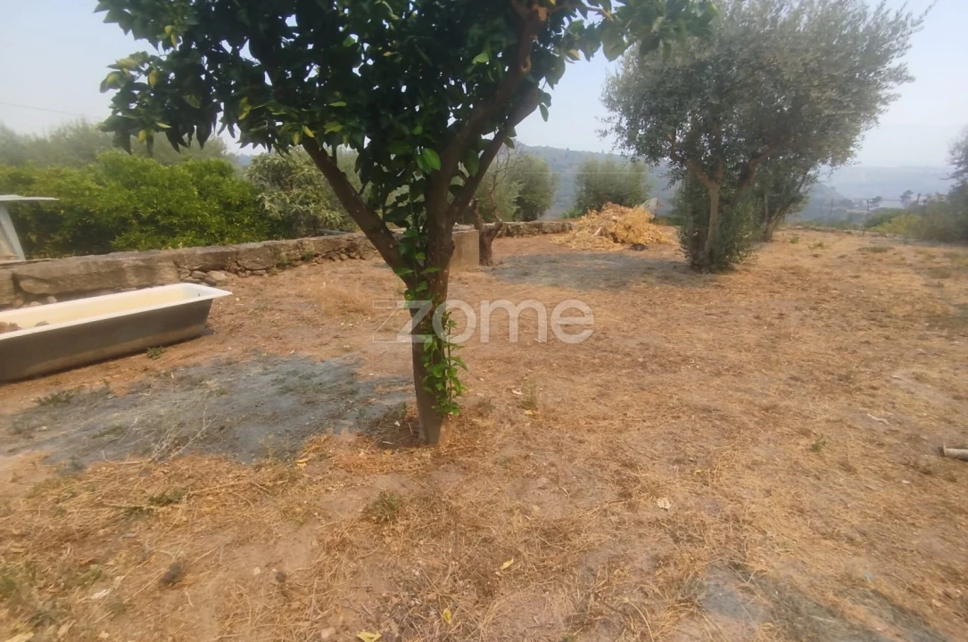 Moradia T7 para Venda em Abrunhosa-A-Velha Foto 18