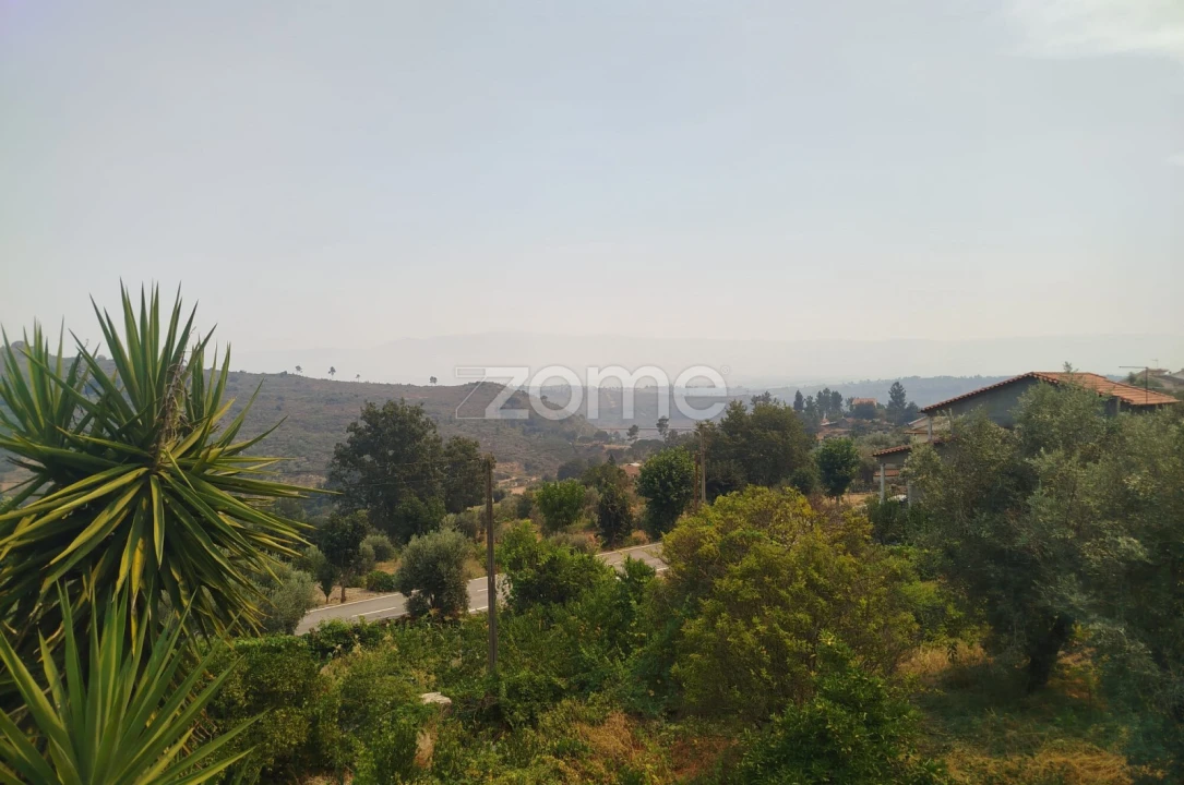 Moradia T7 para Venda em Abrunhosa-A-Velha Foto 12