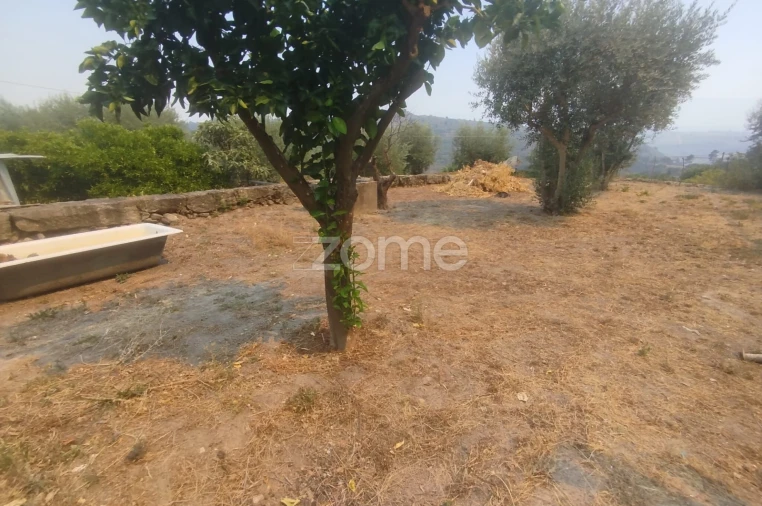 Moradia T7 para Venda em Abrunhosa-A-Velha Foto 18