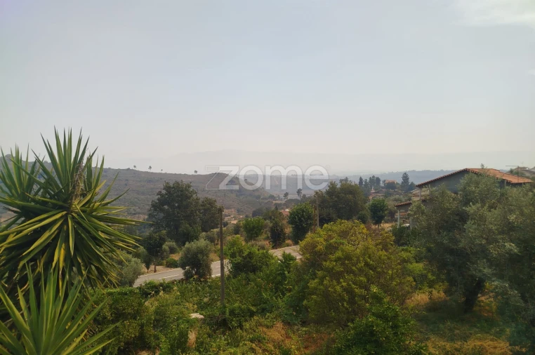 Moradia T7 para Venda em Abrunhosa-A-Velha Foto 12