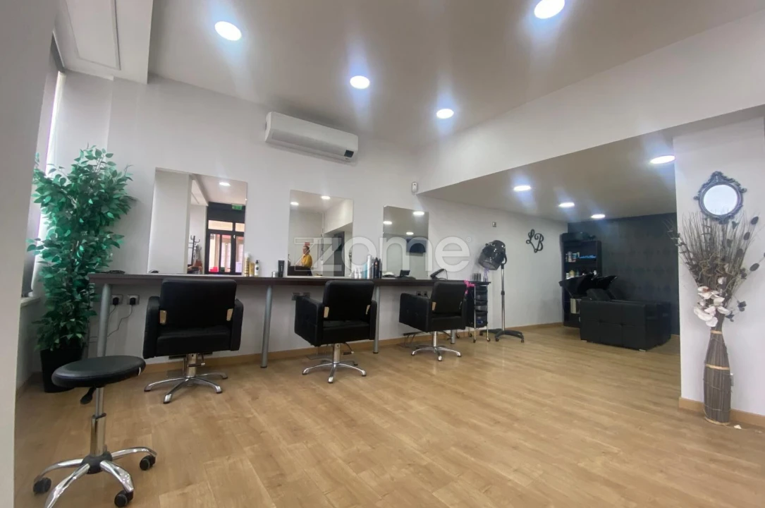 Negócio para Venda em Mealhada, Ventosa do Bairro e Antes Foto 14