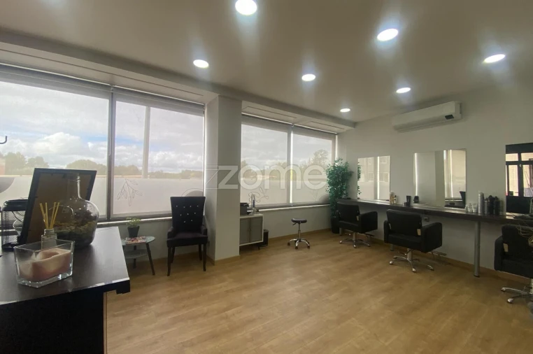 Negócio para Venda em Mealhada, Ventosa do Bairro e Antes Foto 17