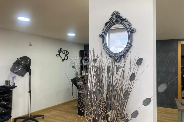 Negócio para Venda em Mealhada, Ventosa do Bairro e Antes Foto 22